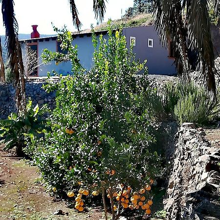Willa Casa La Montana El Cedro Zewnętrze zdjęcie